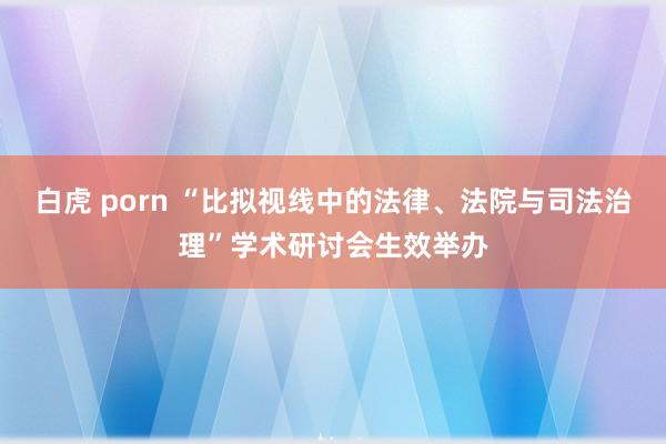 白虎 porn “比拟视线中的法律、法院与司法治理”学术研讨会生效举办