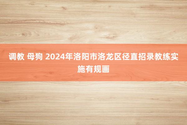 调教 母狗 2024年洛阳市洛龙区径直招录教练实施有规画