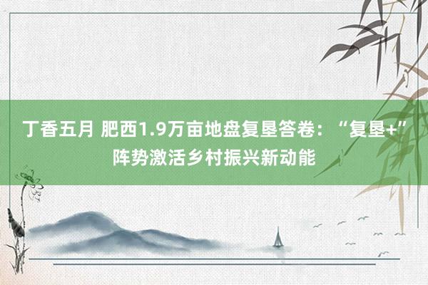 丁香五月 肥西1.9万亩地盘复垦答卷：“复垦+”阵势激活乡村振兴新动能