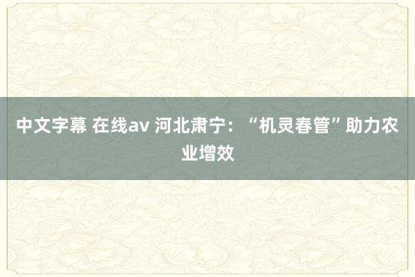 中文字幕 在线av 河北肃宁：“机灵春管”助力农业增效