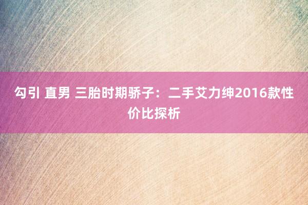 勾引 直男 三胎时期骄子：二手艾力绅2016款性价比探析