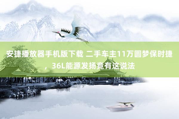 安捷播放器手机版下载 二手车主11万圆梦保时捷，36L能源发扬竟有这说法