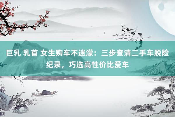 巨乳 乳首 女生购车不迷濛：三步查清二手车脱险纪录，巧选高性价比爱车