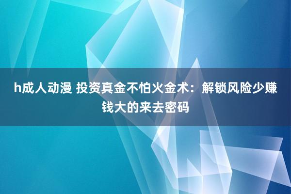 h成人动漫 投资真金不怕火金术：解锁风险少赚钱大的来去密码