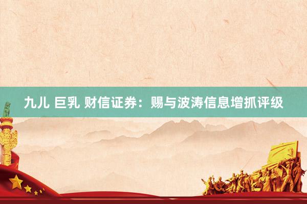 九儿 巨乳 财信证券：赐与波涛信息增抓评级