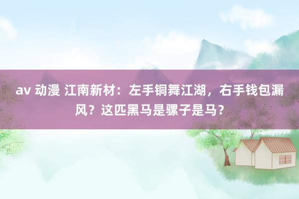 av 动漫 江南新材：左手铜舞江湖，右手钱包漏风？这匹黑马是骡子是马？