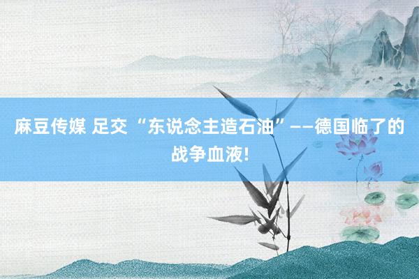麻豆传媒 足交 “东说念主造石油”——德国临了的战争血液!