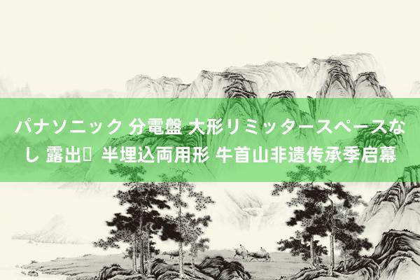 パナソニック 分電盤 大形リミッタースペースなし 露出・半埋込両用形 牛首山非遗传承季启幕