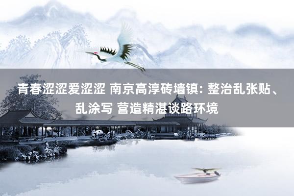 青春涩涩爱涩涩 南京高淳砖墙镇: 整治乱张贴、乱涂写 营造精湛谈路环境