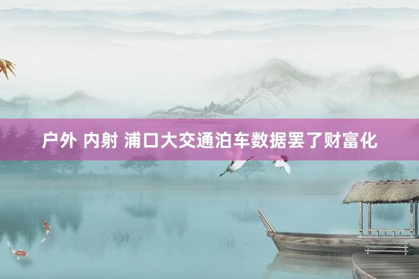 户外 内射 浦口大交通泊车数据罢了财富化