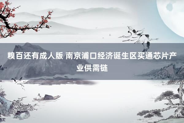 糗百还有成人版 南京浦口经济诞生区买通芯片产业供需链