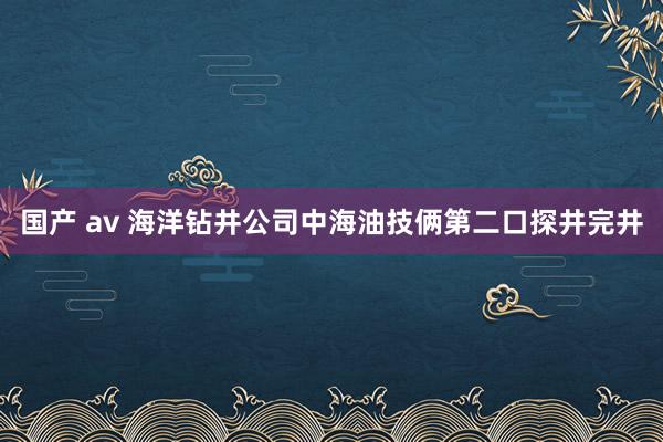 国产 av 海洋钻井公司中海油技俩第二口探井完井