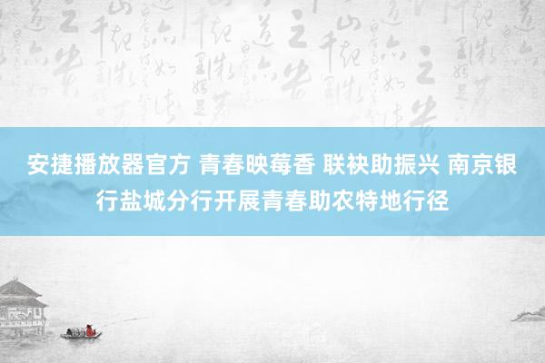 安捷播放器官方 青春映莓香 联袂助振兴 南京银行盐城分行开展青春助农特地行径