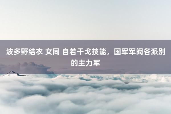 波多野结衣 女同 自若干戈技能，国军军阀各派别的主力军
