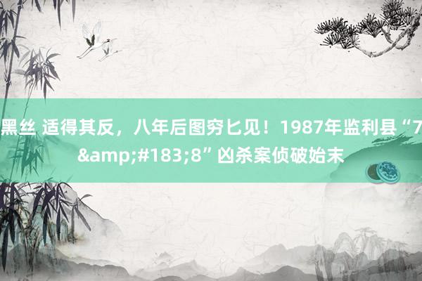 黑丝 适得其反，八年后图穷匕见！1987年监利县“7&#183;8”凶杀案侦破始末