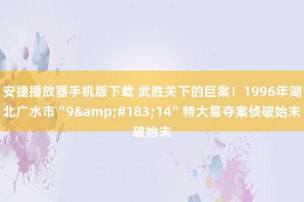 安捷播放器手机版下载 武胜关下的巨案！1996年湖北广水市“9&#183;14”特大篡夺案侦破始末