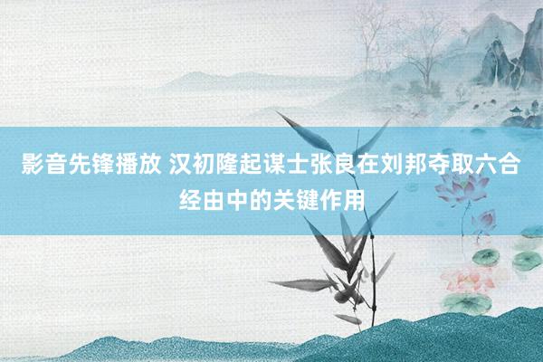 影音先锋播放 汉初隆起谋士张良在刘邦夺取六合经由中的关键作用