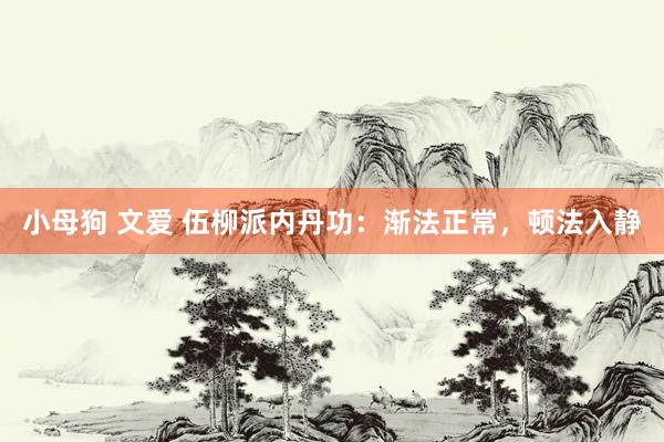 小母狗 文爱 伍柳派内丹功：渐法正常，顿法入静