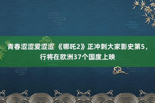 青春涩涩爱涩涩 《哪吒2》正冲刺大家影史第5，行将在欧洲37个国度上映