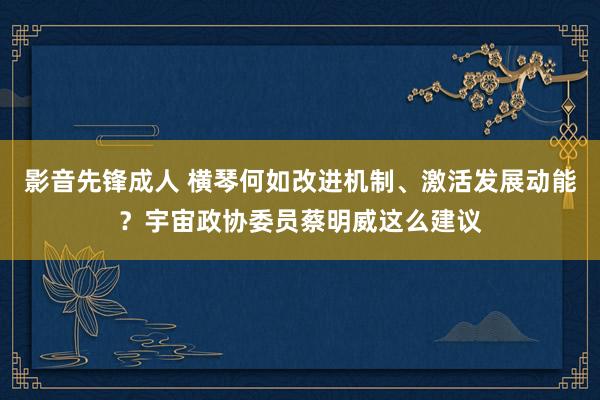 影音先锋成人 横琴何如改进机制、激活发展动能？宇宙政协委员蔡明威这么建议