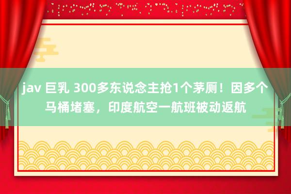 jav 巨乳 300多东说念主抢1个茅厕！因多个马桶堵塞，印度航空一航班被动返航